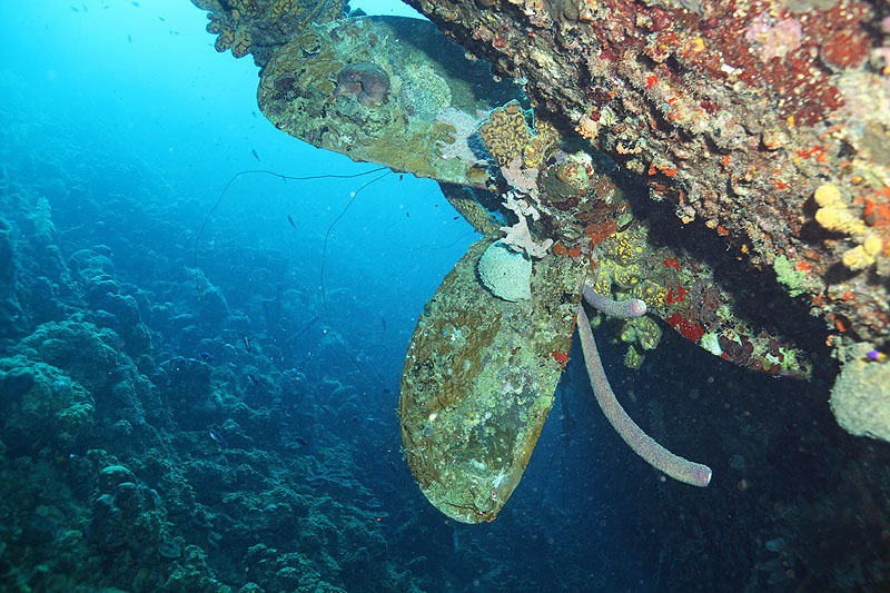 Bonaire - photo n° 128