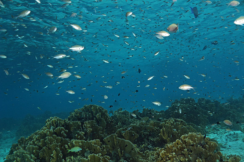 Bonaire - photo n° 170