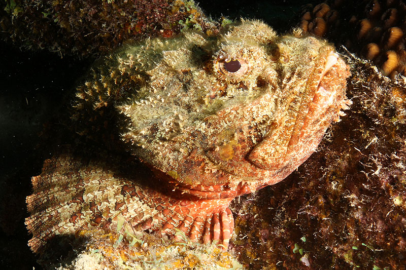 Bonaire - photo n° 182