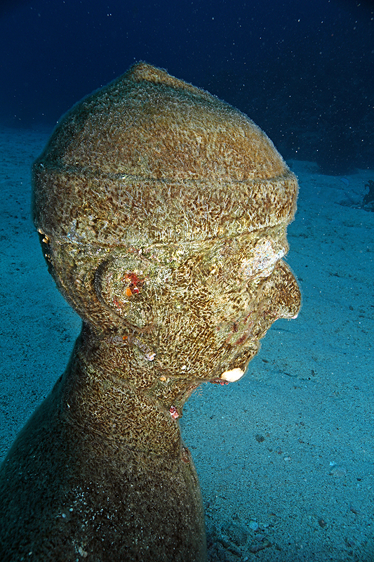 Réserve Cousteau