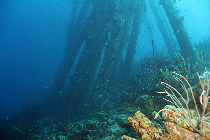 Salt Pier (Pl. n° 2)