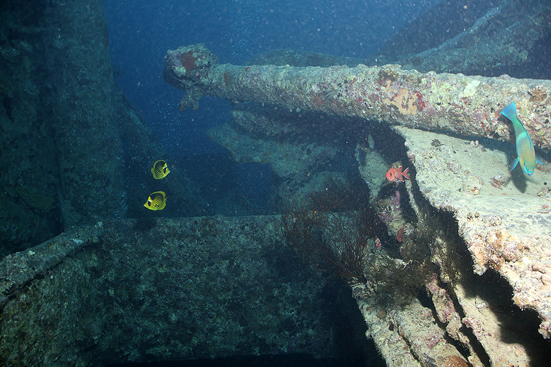 Epave du Thistlegorm[br](Plg n° 9)