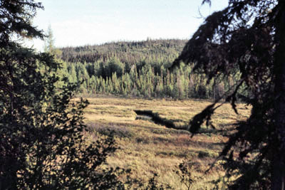 Parc des Laurentides