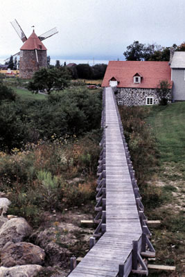 Île aux Coudres