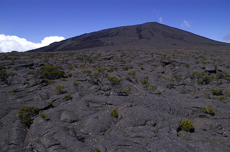 Rando Piton Kapor