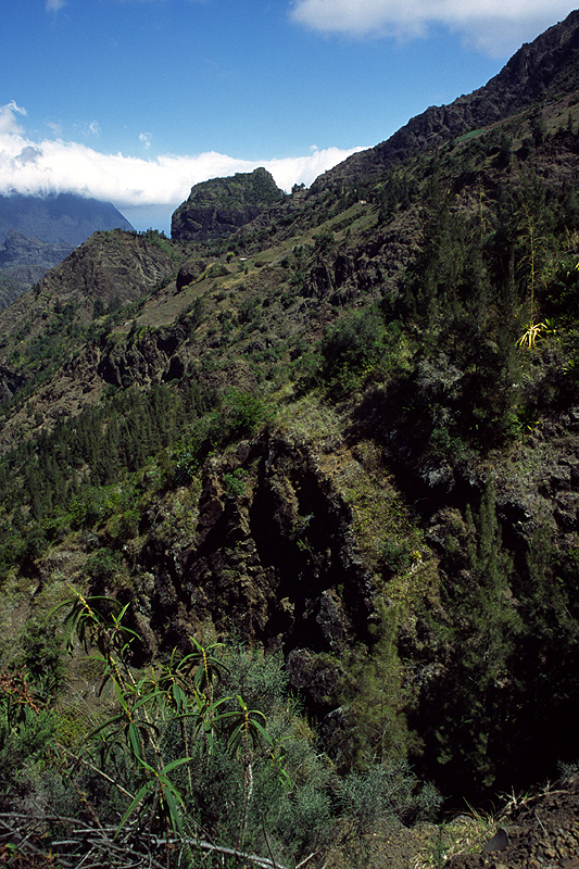 Cirque de Cilaos