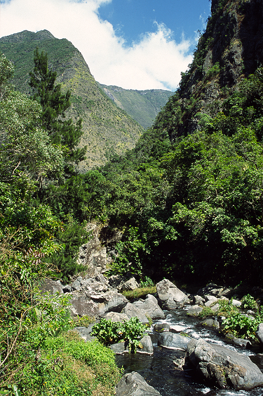 Grand Bassin