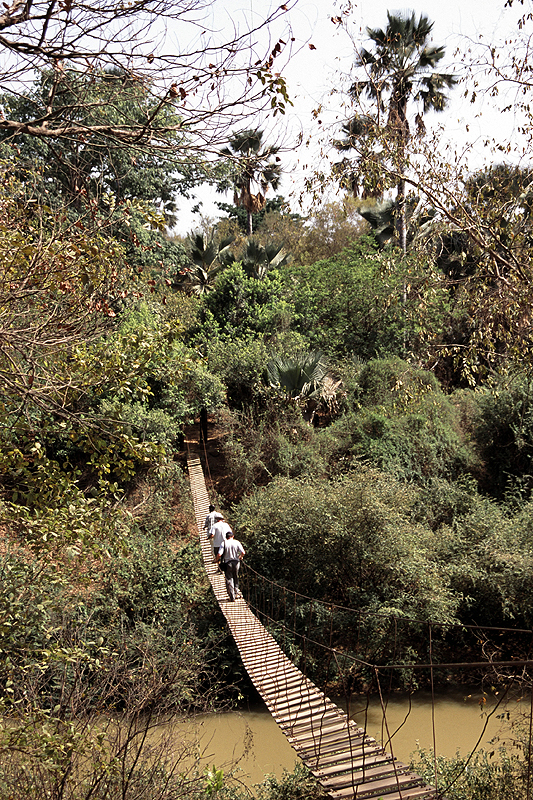 Niokolo Koba
