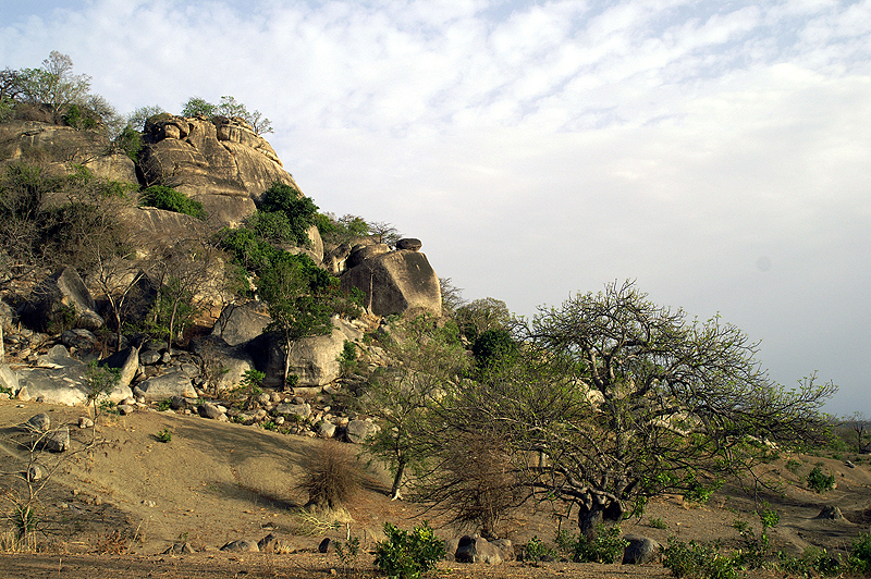 Village Bassâri