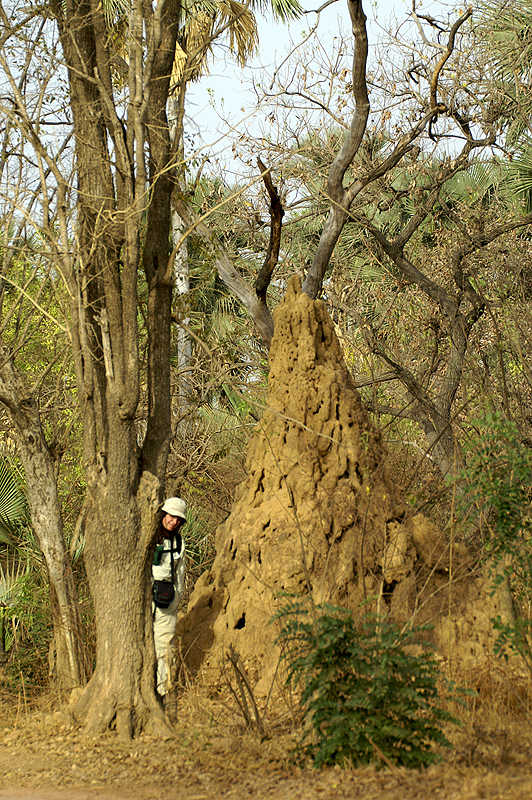 Wassadougou
