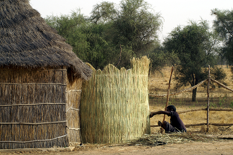 Gîte de Koba