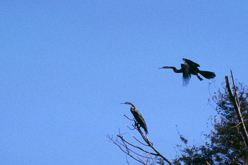 Orange River