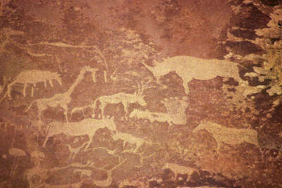 AFRIQUE AUSTRALE - Twyfelfontein