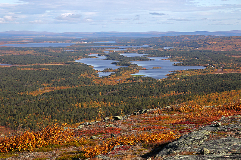 Rando Jierivaara