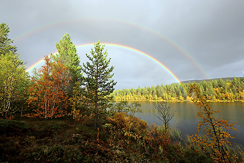 LAPONIE SUEDOISE - Lac [q]Iso Kieppisjärvi[q]