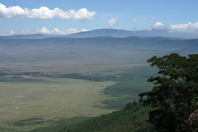 Ngorongoro