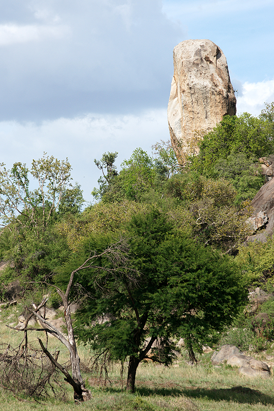 Serengeti