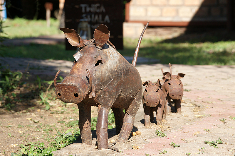 Tarangire