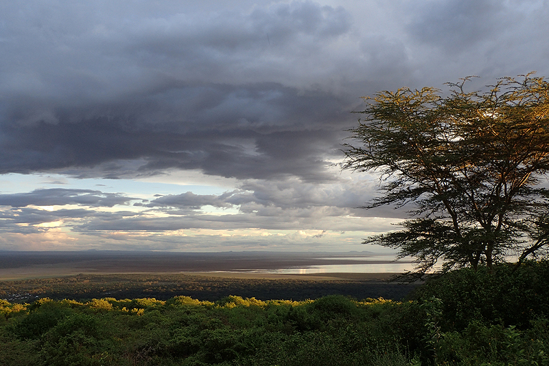Lac Manyara
