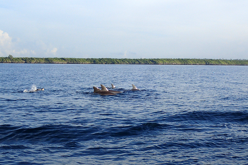 Kizimkazi, Zanzibar
