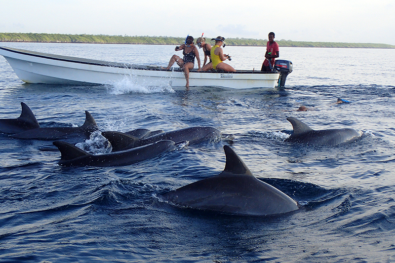 Kizimkazi, Zanzibar
