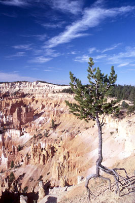 Bryce Canyon