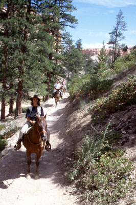 Bryce Canyon