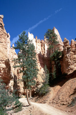 Bryce Canyon