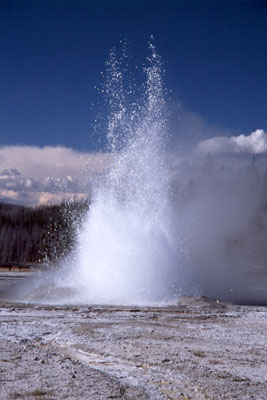 OUEST AMERICAIN - Yellowstone