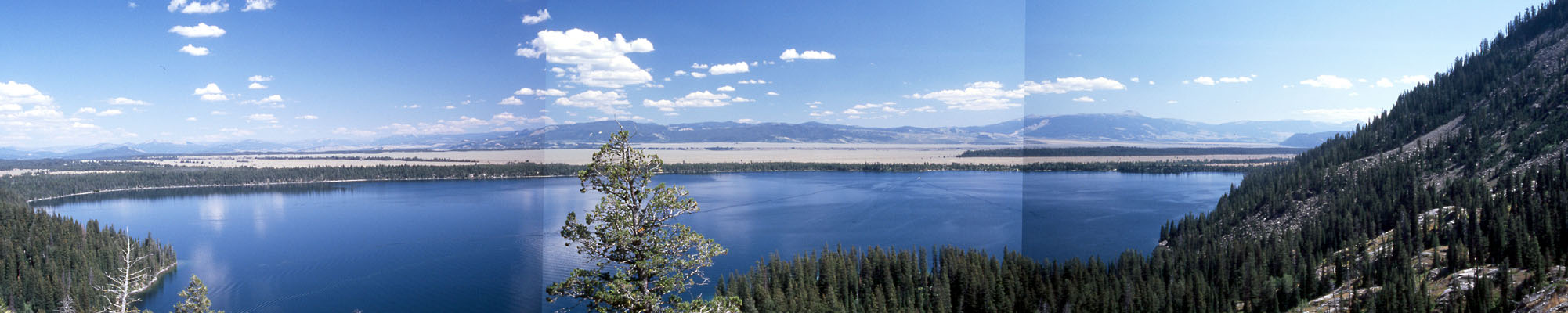 Photo panoramique de Jenny Lake (Grand Teton National Park)