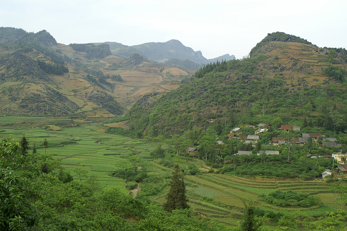 Bac Ha