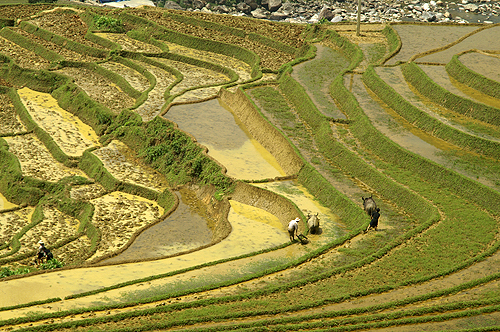 VIETNAM & CAMBODGE - Route vers Ta Van