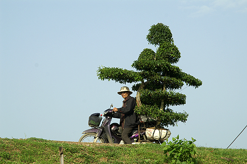 VIETNAM & CAMBODGE - Kenh Ga