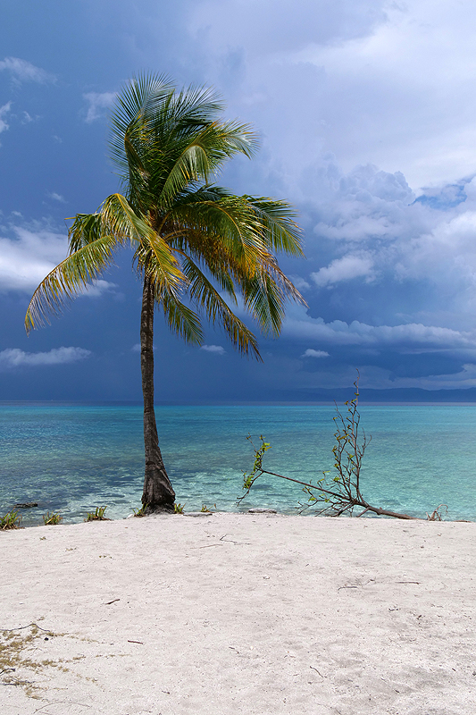 [q]Kalanggaman Island[q]