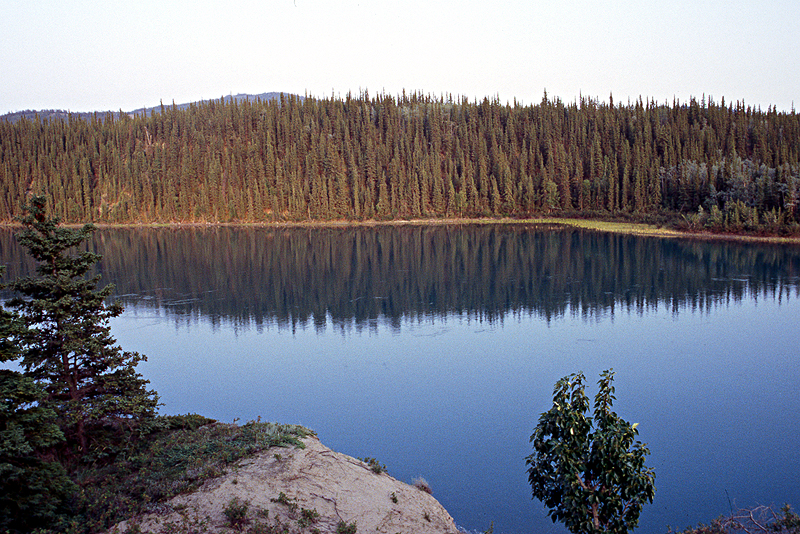 [q]Yukon River[q] - Km 91