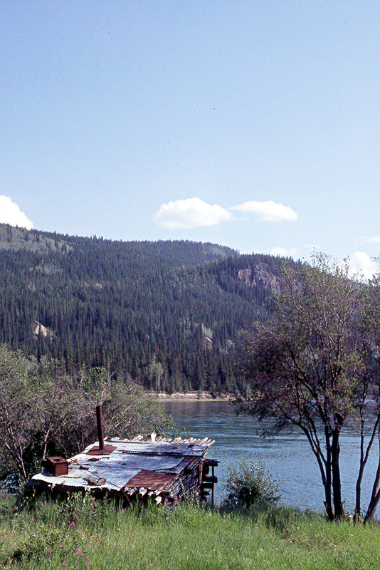 [q]Yukon River[q] - Km 137