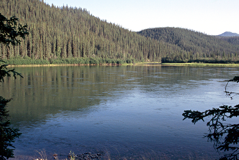 [q]Yukon River[q] - Km 142