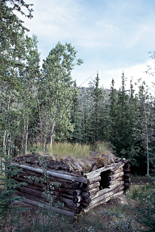 [q]Yukon River[q] - Km 215