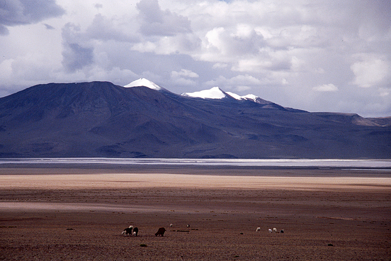 Bolivie