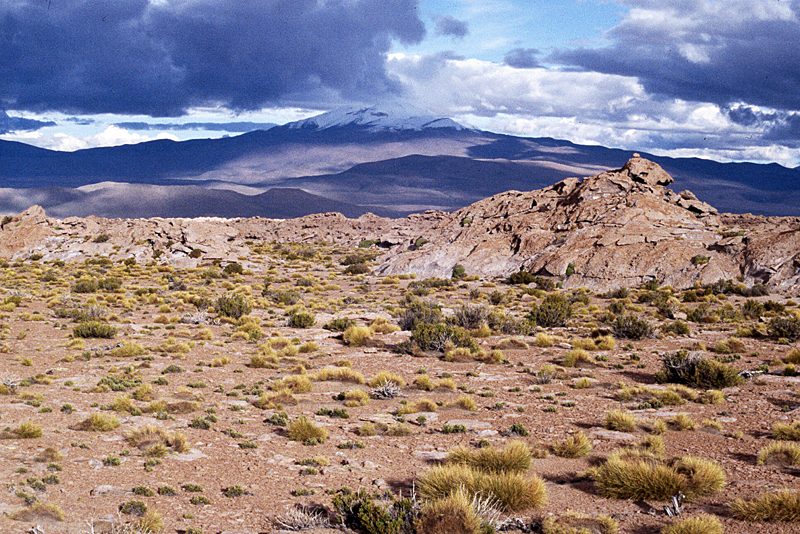 Bolivie