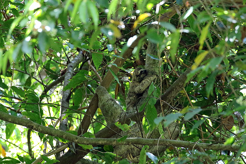 Parc national [q]Manuel Antonio[q]