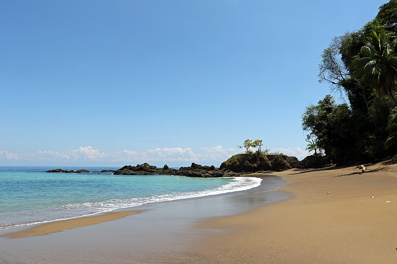 [q]Isla del Caño[q]