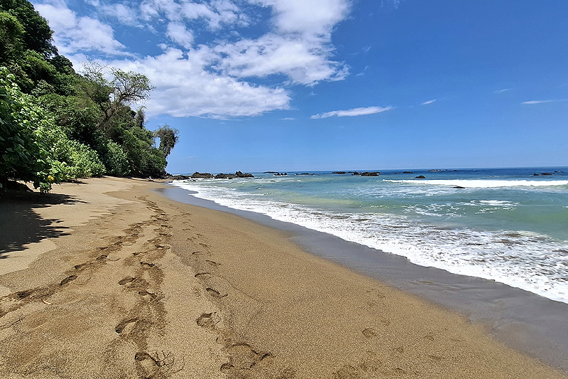 [q]Isla del Caño[q]