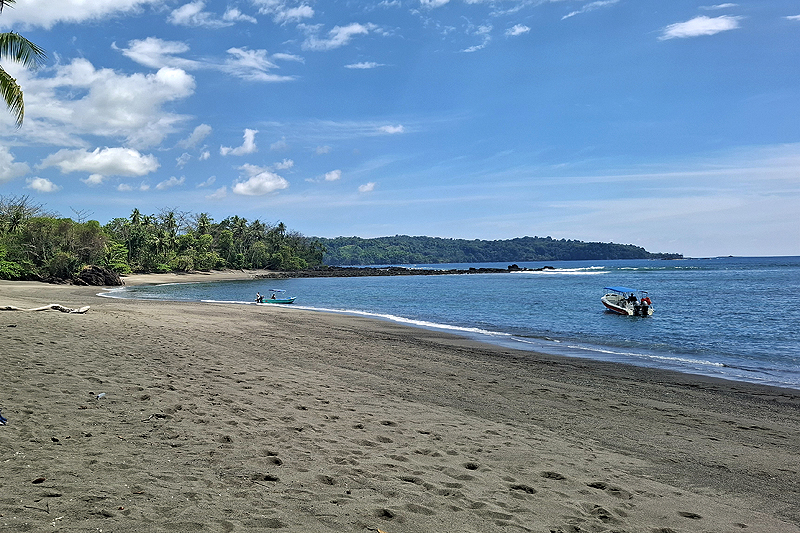 Dans les environs de [q]Drake Bay[q]