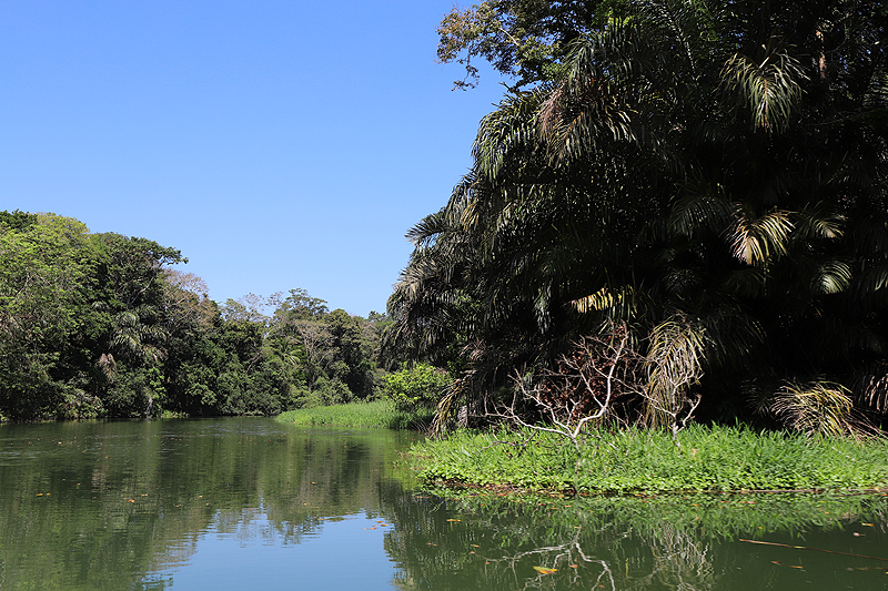 A proximité de la réserve de Pacuare