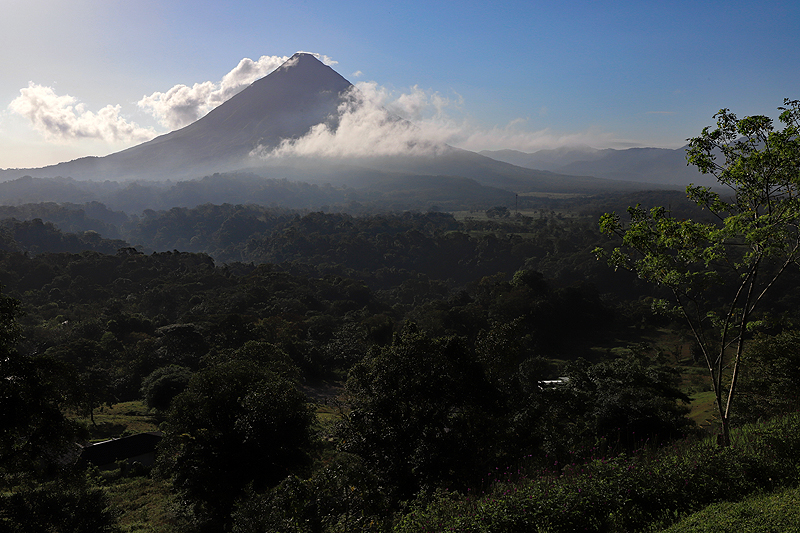 Réserve (parc) de Mistico
