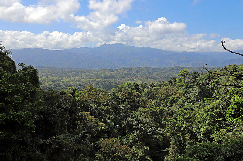 Réserve (parc) de Mistico