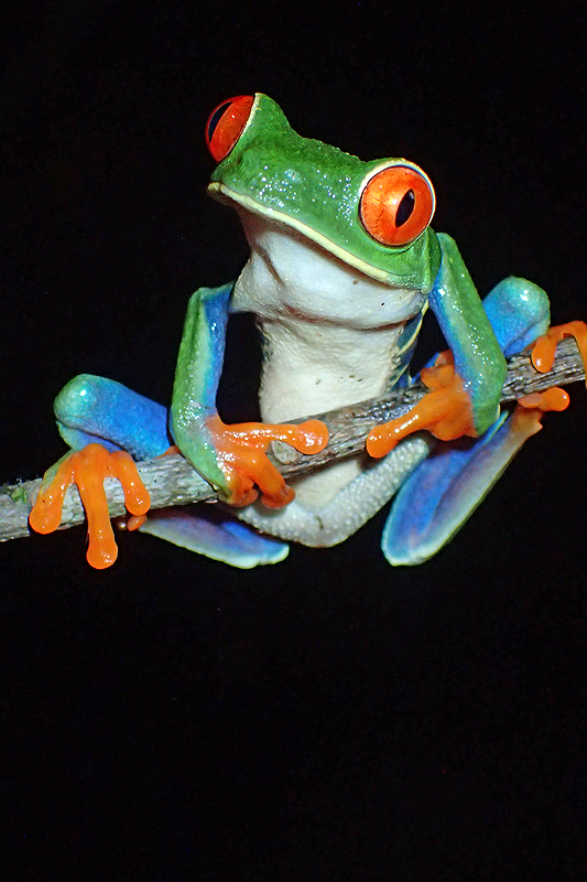 A proximité de [q]La Fortuna[q]