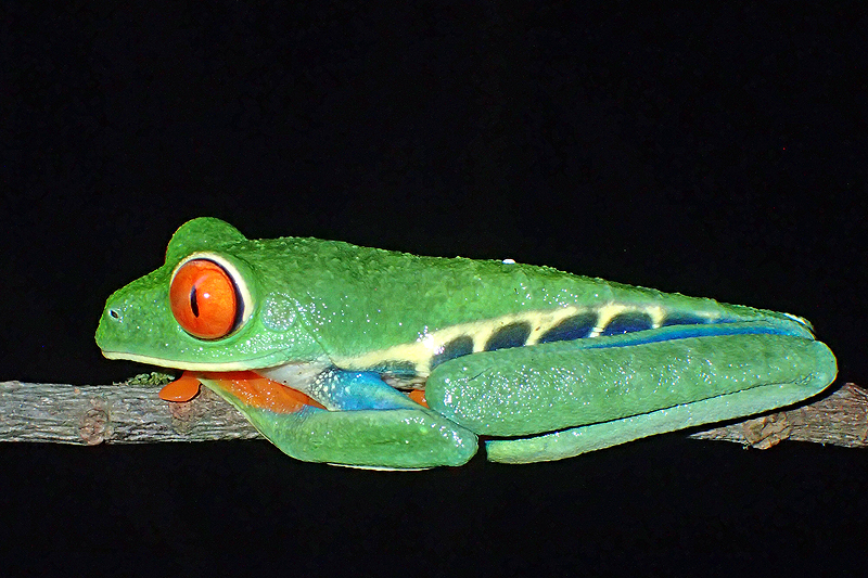 A proximité de [q]La Fortuna[q]