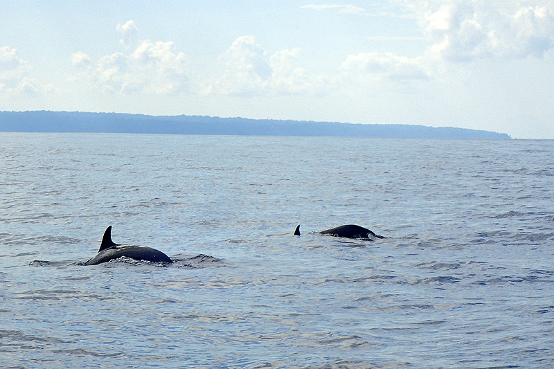 A proximité de la [q]Isla del Caño[q]